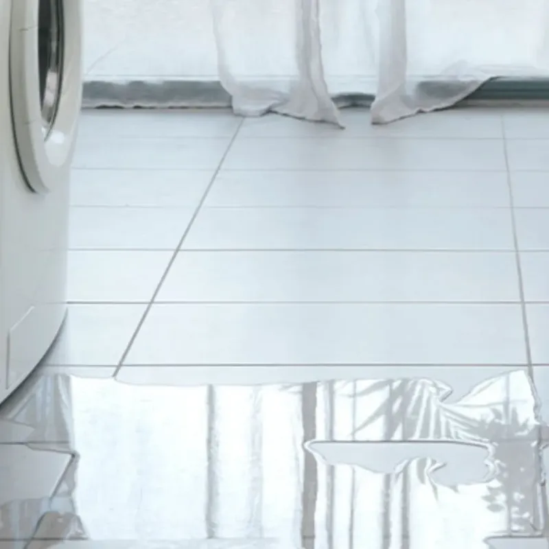 Appliance Leak Cleanup in Madison, GA